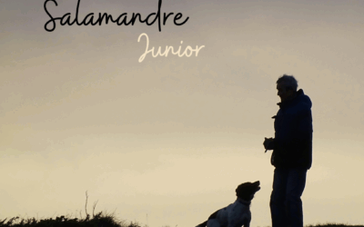 Une histoire de…Salamandre Junior – Hors-série n°13