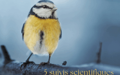 5 suivis scientifiques pour mieux connaître les oiseaux