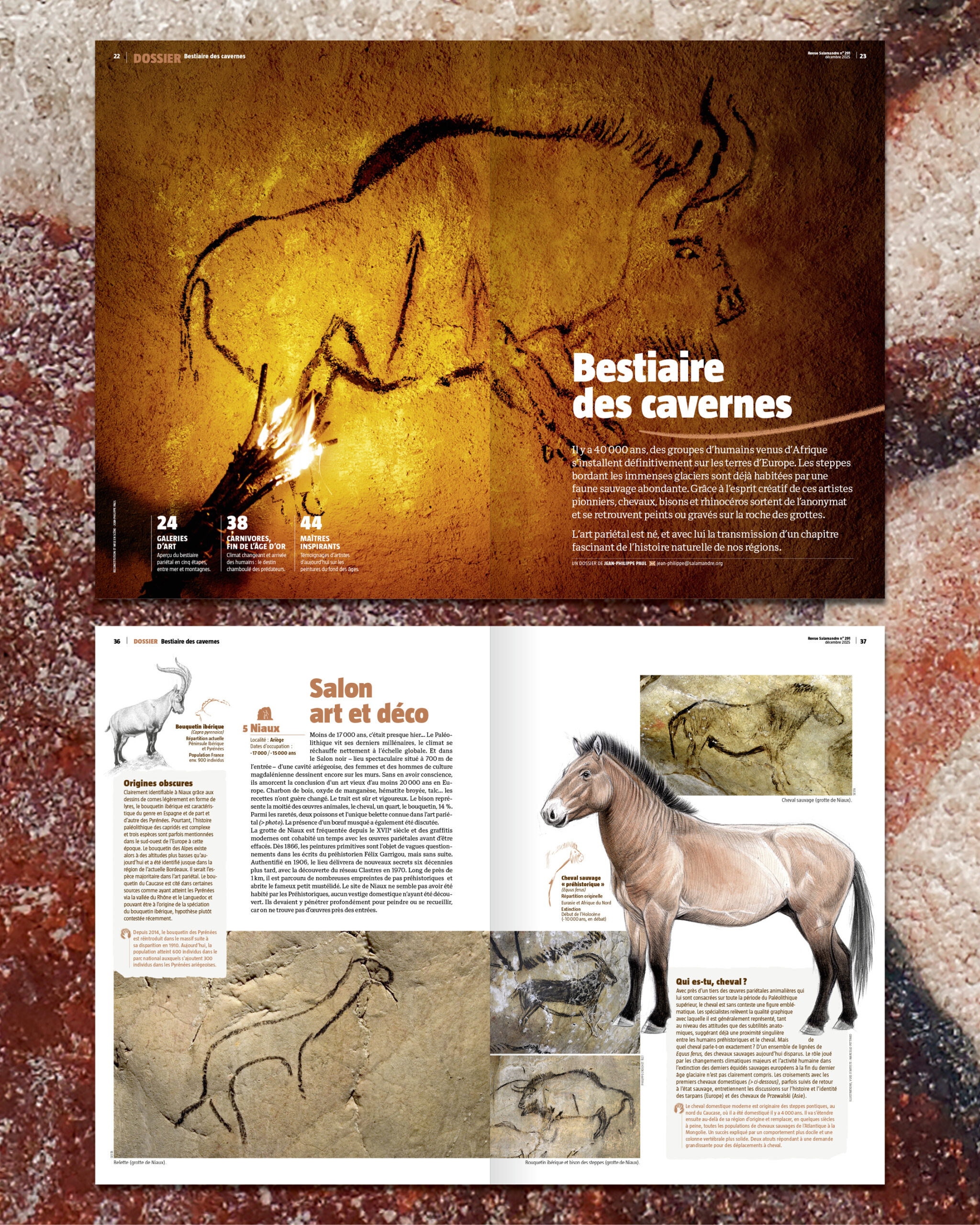 La revue salamandre n°291 est à l'honneur du nouvel article du Bird-Blog d'Une histoire de plumes