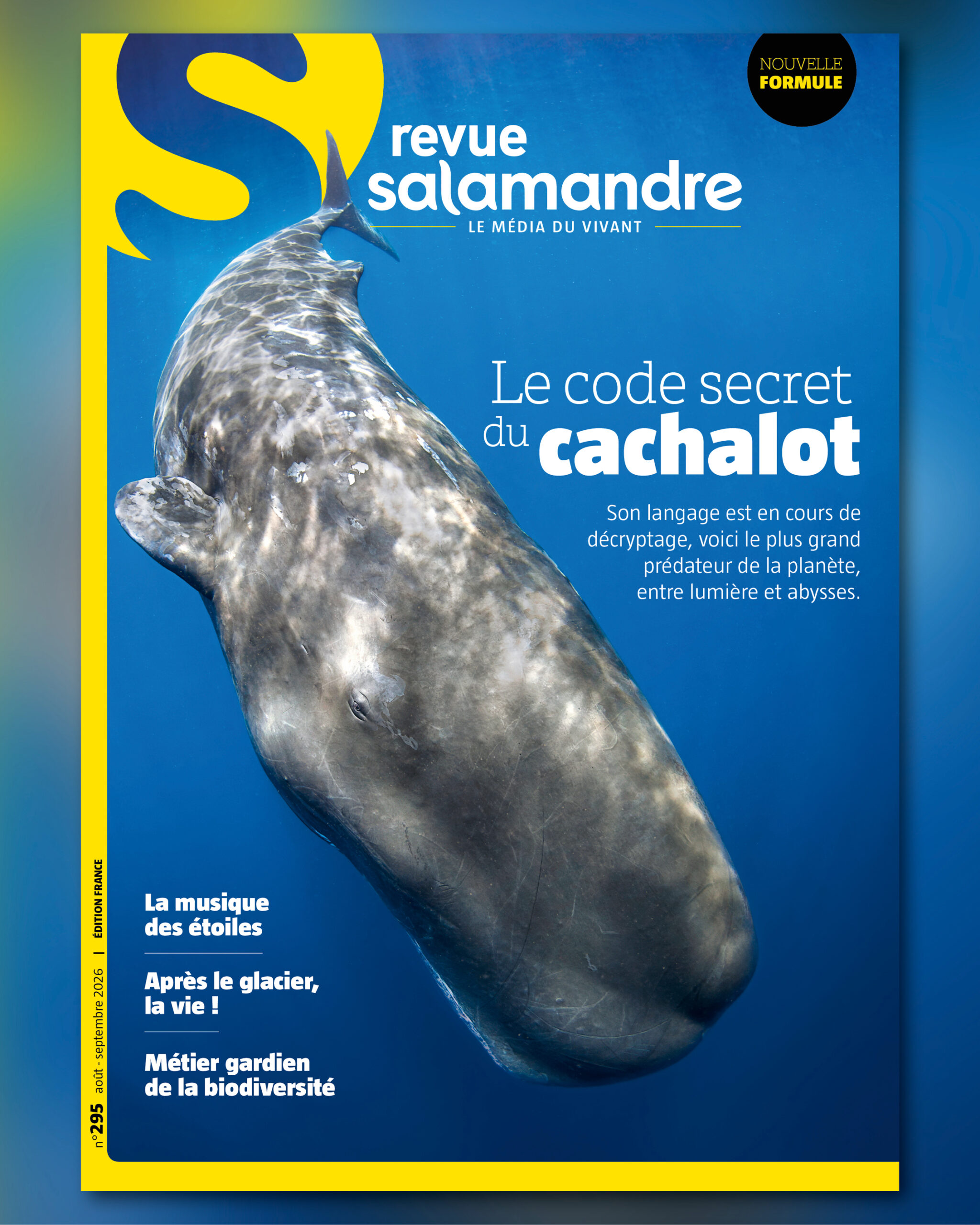 visuels_nouvellesrevues2026_SAL_aout26