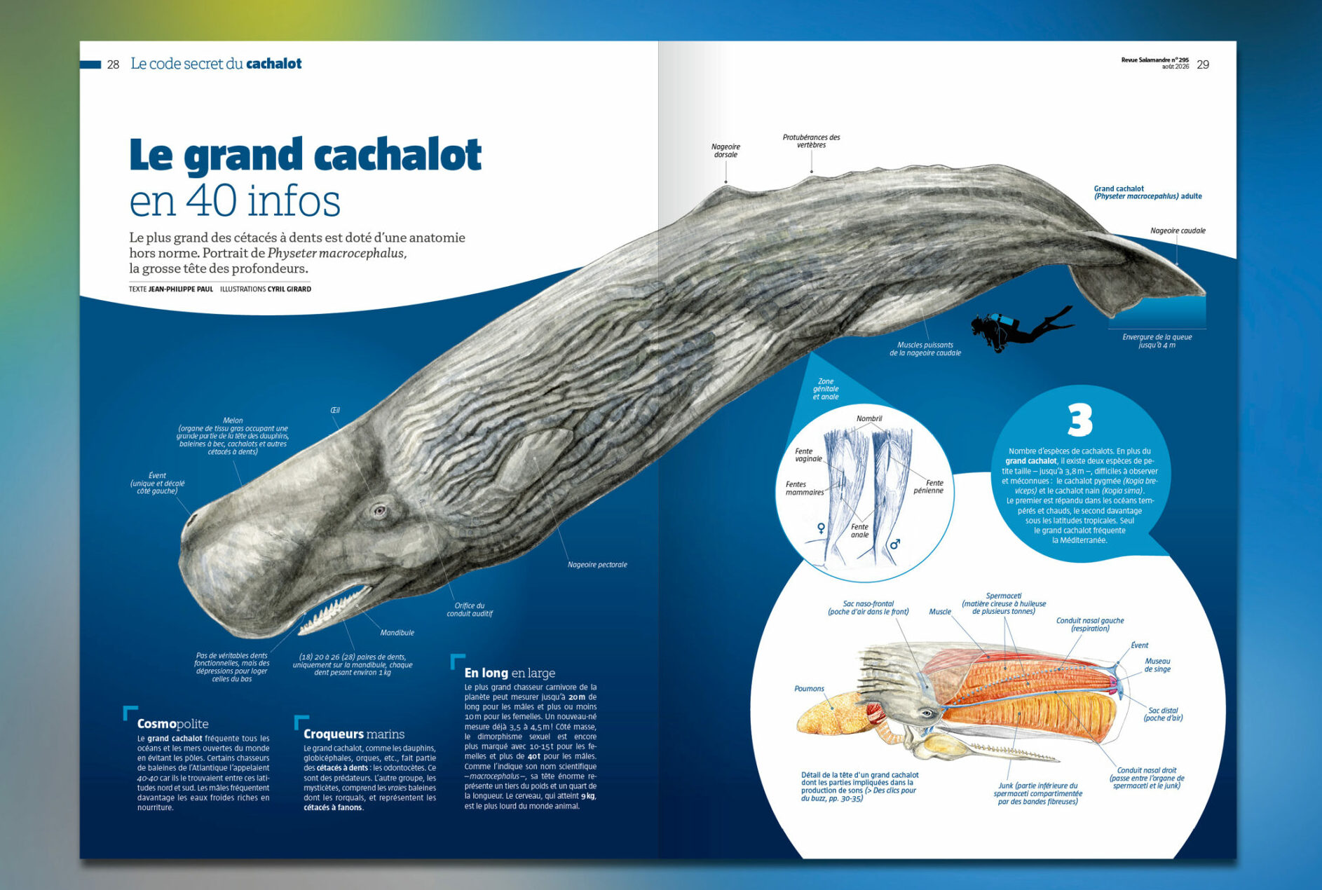 visuels_nouvellesrevues2026_SAL_aout262