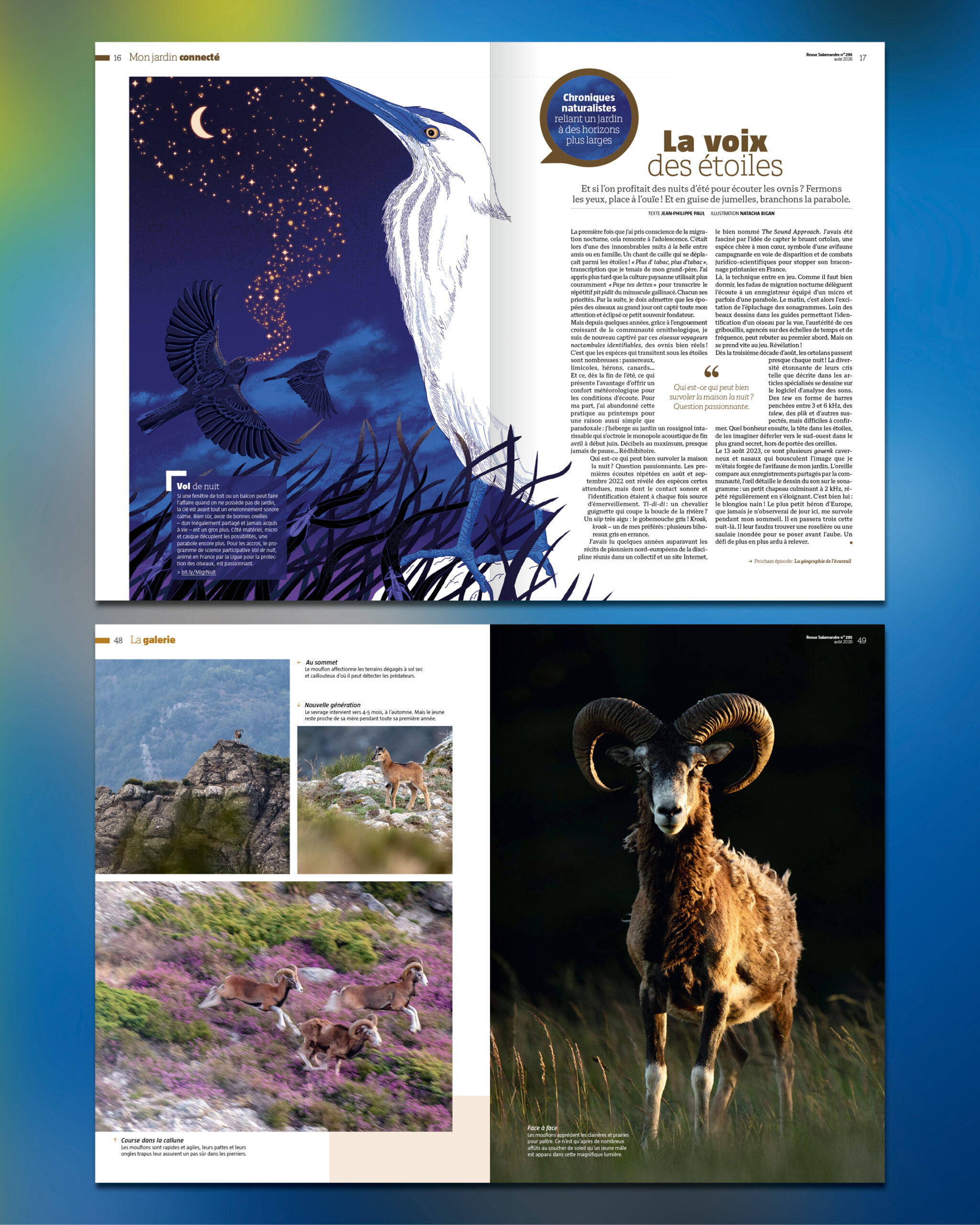 visuels_nouvellesrevues2026_SAL_aout263