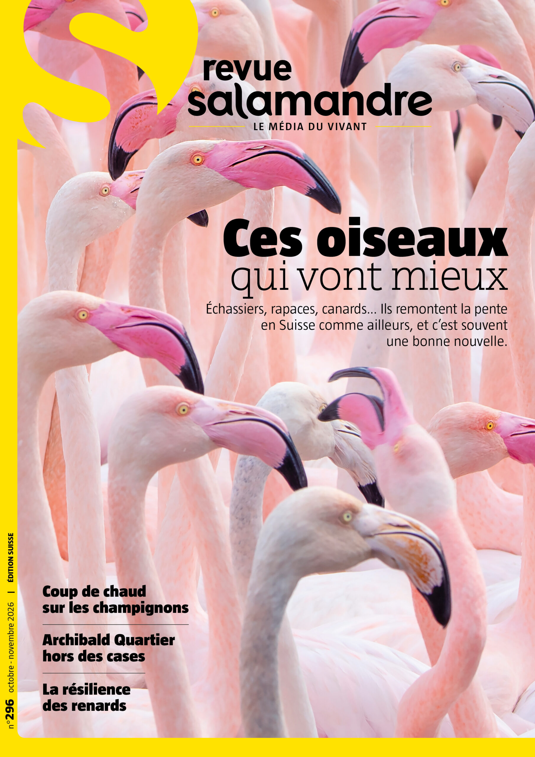 La revue Salamandre n°296