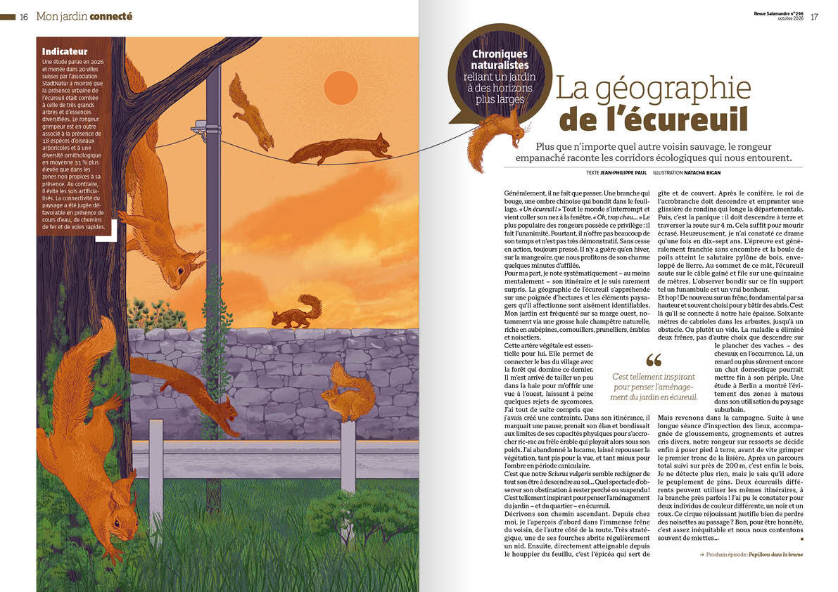 La revue Salamandre n°296